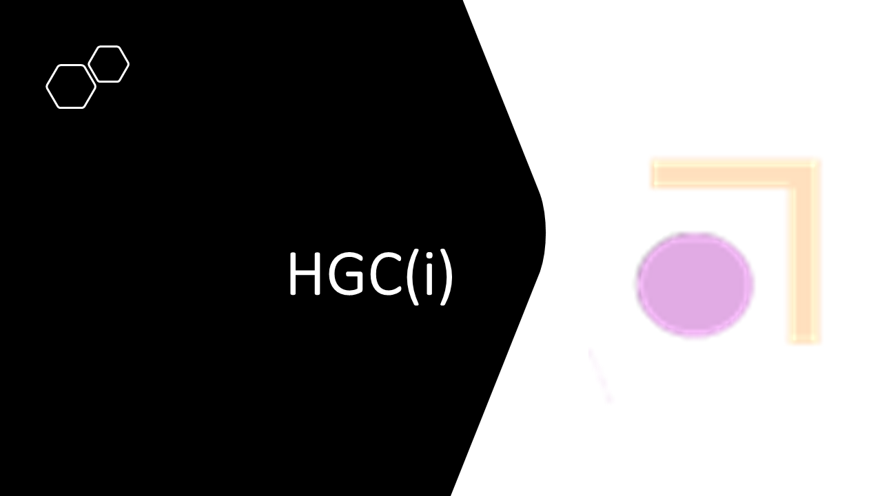 19_13c_HLS-HGC_Groupe-FGHIJ