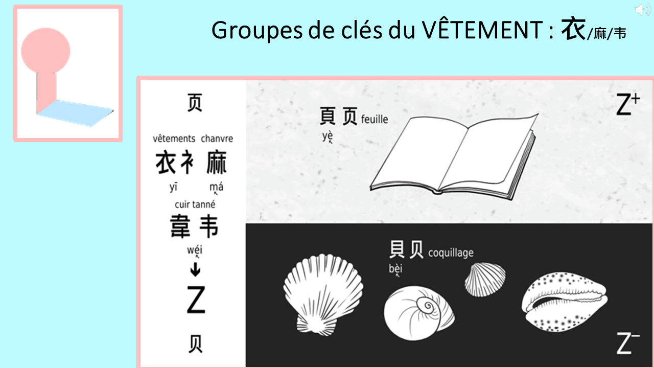 22_16c_HLS-HGC_Groupe-UVWXY-Z