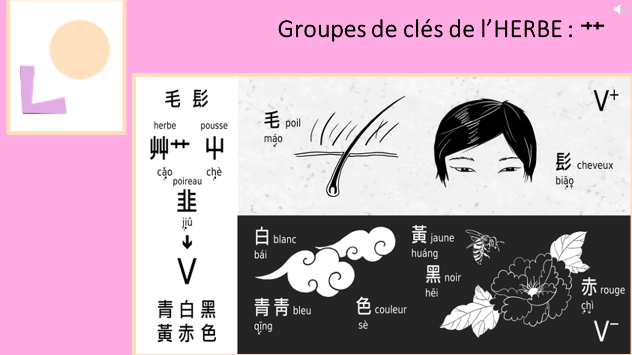 22_16c_HLS-HGC_Groupe-UVWXY-Z
