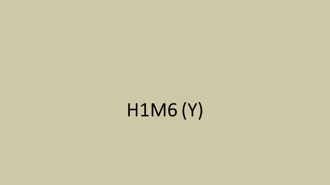 24_H1M6